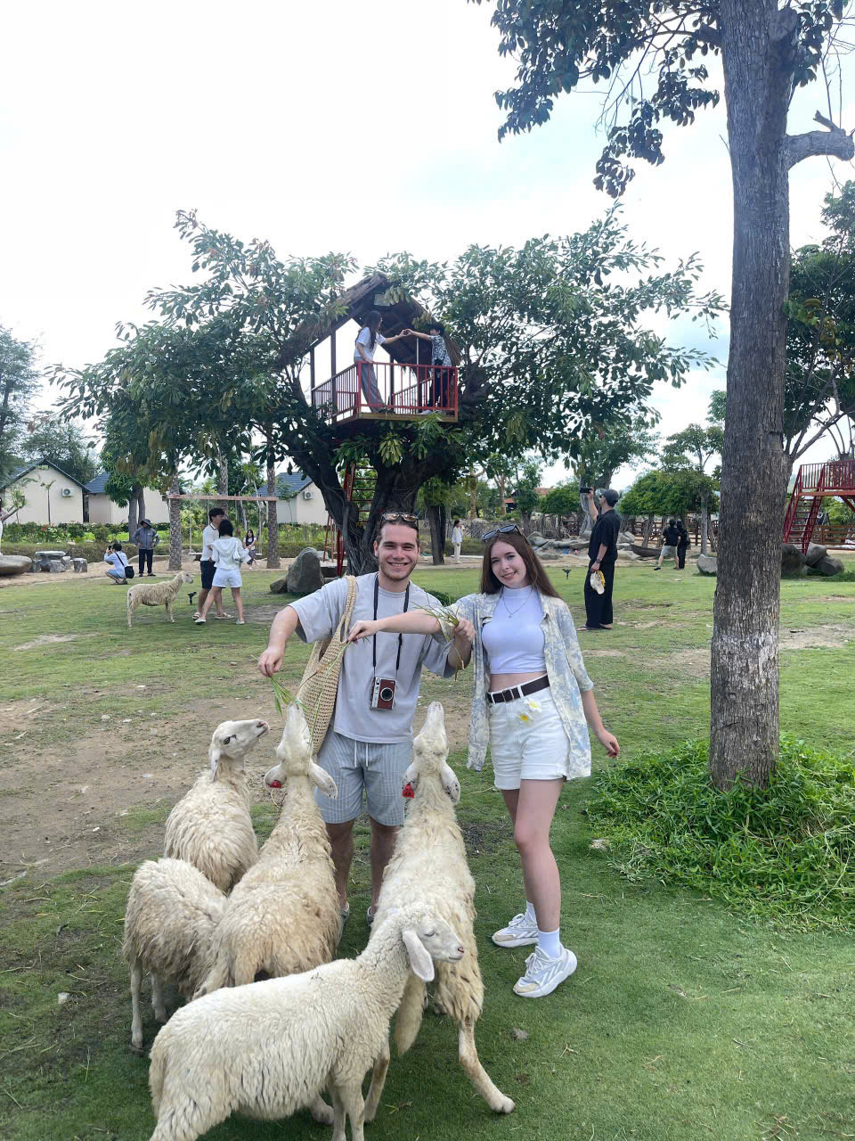 Tour Ninh Thuận